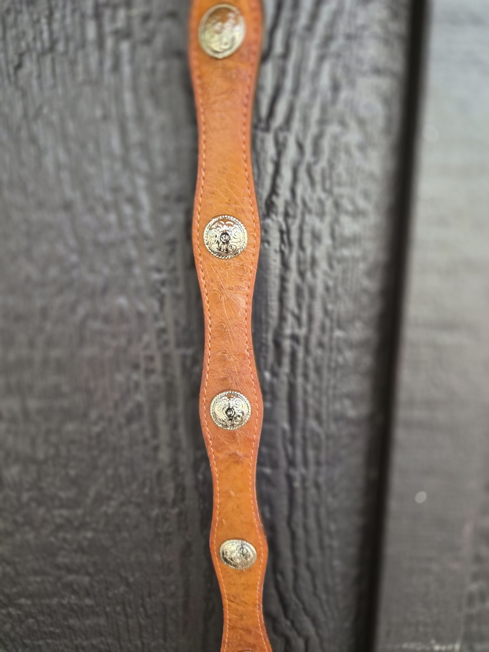 Women's Leather Belt Strap with Silver Conchos - Brown